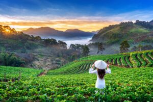 Top Hidden Gems in Vietnam