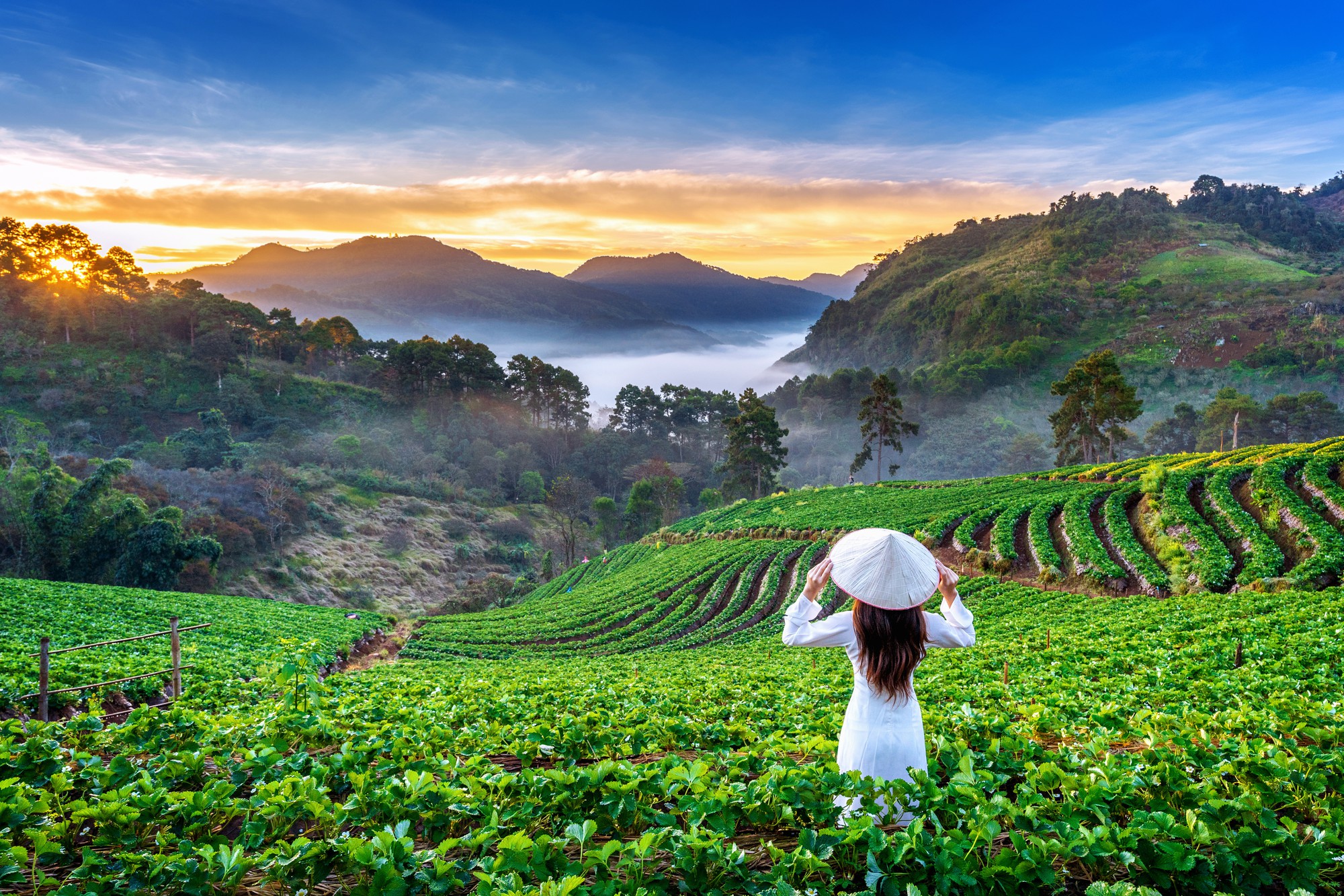 Top Hidden Gems in Vietnam